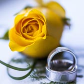 Closeup of a yellow rose and wedding bands by Chris Gardiner Photography www.cgardiner.ca